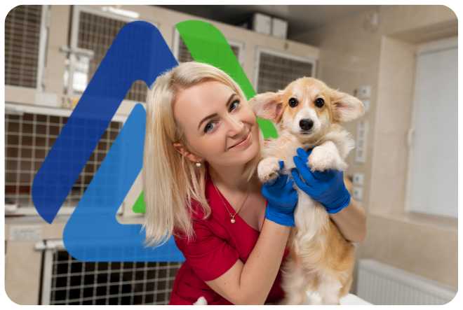 Veterinarian holding a corgi puppy, showcasing pet care services and business loan solutions for veterinary practices.