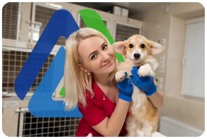 Veterinarian holding a corgi puppy, showcasing pet care services and business loan solutions for veterinary practices.