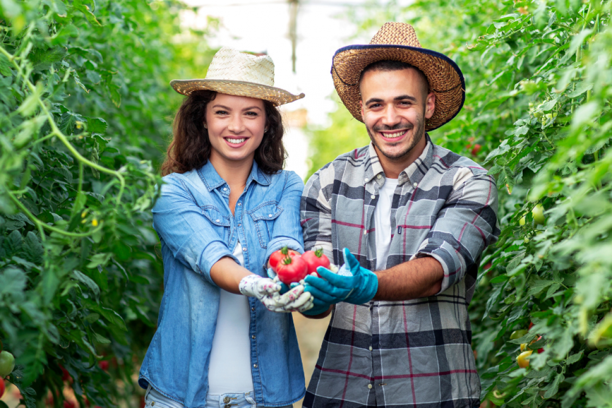 Smiling couple in a farm holding fresh tomatoes, showcasing small business savings and agricultural success.