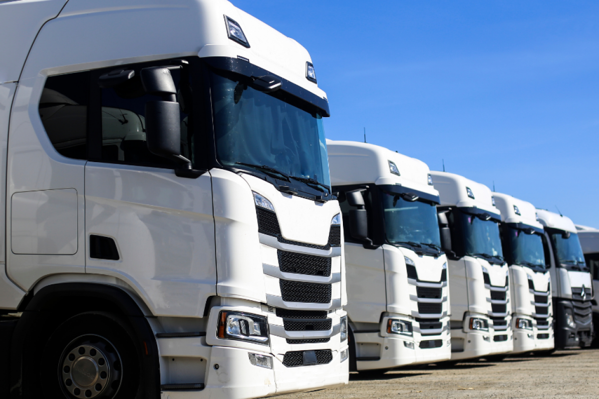 Heavy equipment financing solutions for trucking businesses, showcasing a line of white trucks ready for operation.